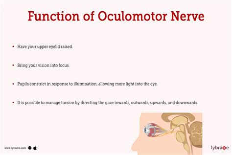 torsion swing test oculomotor test|Oculomotor Function in Individuals With Rett Syndrome.